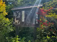 塚原温泉火口乃泉の写真・動画_image_697723