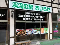 奥入瀬渓流　　の写真・動画_image_698817