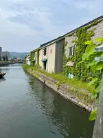小樽運河の写真・動画_image_699497