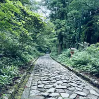石畳の参道の写真・動画_image_699635