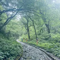 石畳の参道の写真・動画_image_699636