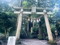 金持神社の写真・動画_image_699648
