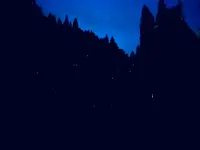 福万来ホタル乃国の写真・動画_image_699656