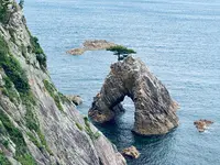 千貫松島の写真・動画_image_699730