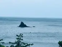 菜種五島の写真・動画_image_699733