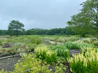 十勝千年の森の写真・動画_image_700208