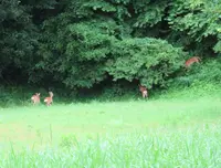 伊豆長岡駅前タクシー乗り場の写真・動画_image_701503