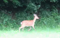 伊豆長岡駅前タクシー乗り場の写真・動画_image_701504