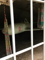 櫻花公園の写真・動画_image_701650