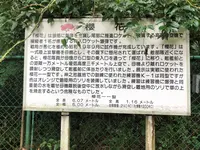櫻花公園の写真・動画_image_701653