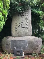 櫻花公園の写真・動画_image_701654