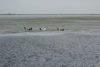 別海町観光船の写真・動画_image_703044