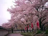 龍野城の写真・動画_image_70351