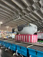 唐戸市場の写真・動画_image_703570