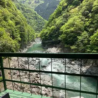 和の宿 ホテル祖谷温泉 Hotel Iyaonsenの写真・動画_image_703697