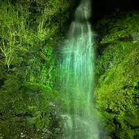 祖谷のかずら橋の写真・動画_image_703702