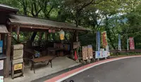 祖谷のかずら橋の写真・動画_image_703777
