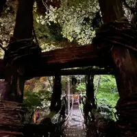 祖谷のかずら橋の写真・動画_image_703778