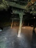 北黄金貝塚の写真・動画_image_706297