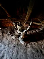 北黄金貝塚の写真・動画_image_706298