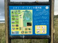 イタンキ浜の写真・動画_image_706326