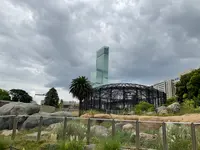 天王寺動物園の写真・動画_image_706771