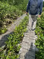 弥陀ヶ原の写真・動画_image_707098