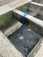 荒湯の写真・動画_image_708012
