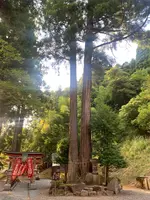 八幡神社の写真・動画_image_708215