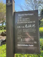 底抜池の写真・動画_image_708883