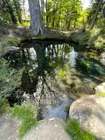 底抜池の写真・動画_image_708884