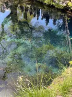 涌池の写真・動画_image_708888