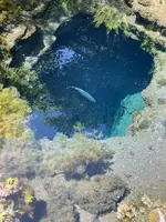 お釜池の写真・動画_image_708889