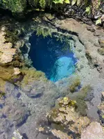 お釜池の写真・動画_image_708890