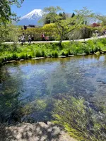 濁池の写真・動画_image_708896