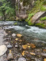 仙娥滝の写真・動画_image_709405