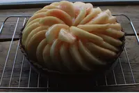 青星の写真・動画_image_710272