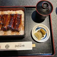 しもすわ うなぎ小林の写真・動画_image_711185