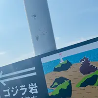 ゴジラ岩の写真・動画_image_713639
