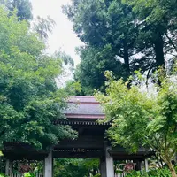 雲昌寺の写真・動画_image_714272