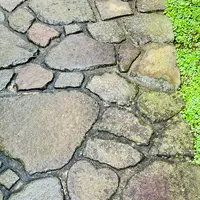 雲昌寺の写真・動画_image_714273