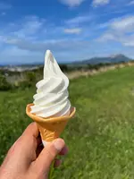 有珠山 SA (下り)の写真・動画_image_714557