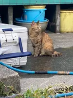 中村屋の写真・動画_image_714619