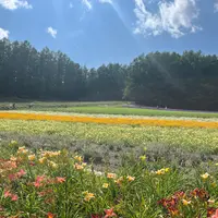 ファーム富田の写真・動画_image_715140