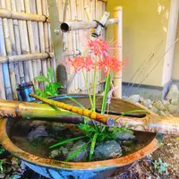 旅亭田乃倉の写真・動画_image_715254