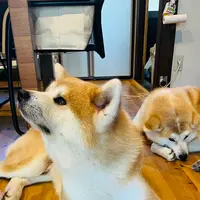 民泊「縁 Ｅｎｉｓｈｉ」の写真・動画_image_715282