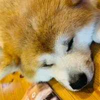 民泊「縁 Ｅｎｉｓｈｉ」の写真・動画_image_715283