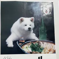 秋田市の写真・動画_image_715284