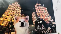 秋田市の写真・動画_image_715285