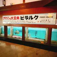 白池地獄の写真・動画_image_716236